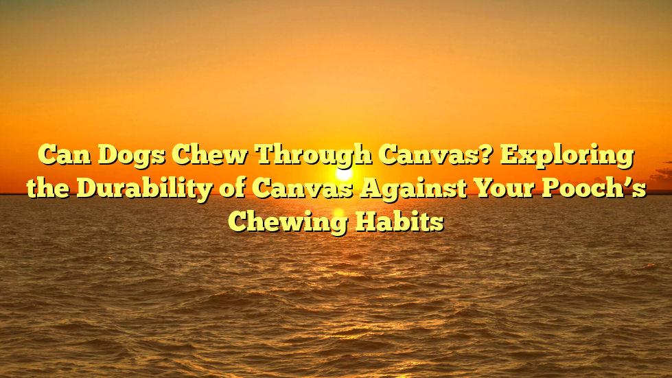 Can Dogs Chew Through Canvas? Exploring the Durability of Canvas Against Your Pooch’s Chewing Habits
