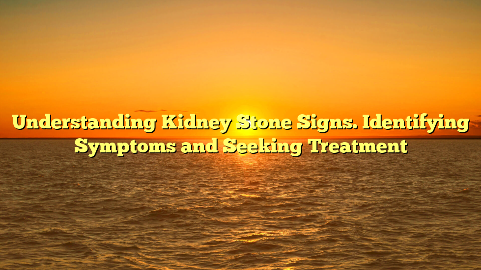 Understanding Kidney Stone Signs. Identifying Symptoms and Seeking Treatment