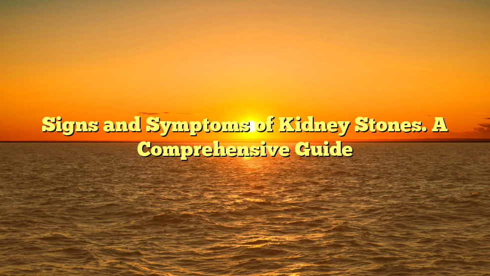 Signs and Symptoms of Kidney Stones. A Comprehensive Guide